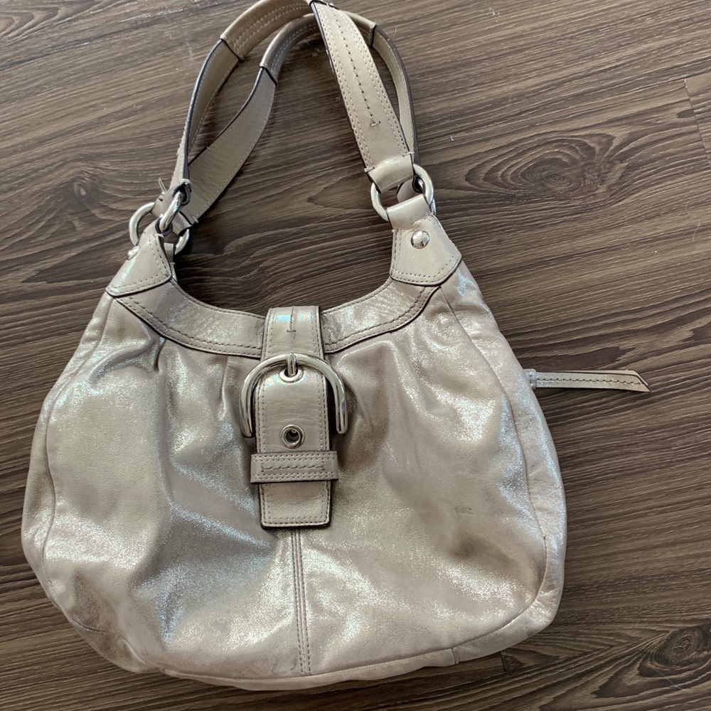 Sparkly Tan Coach purse